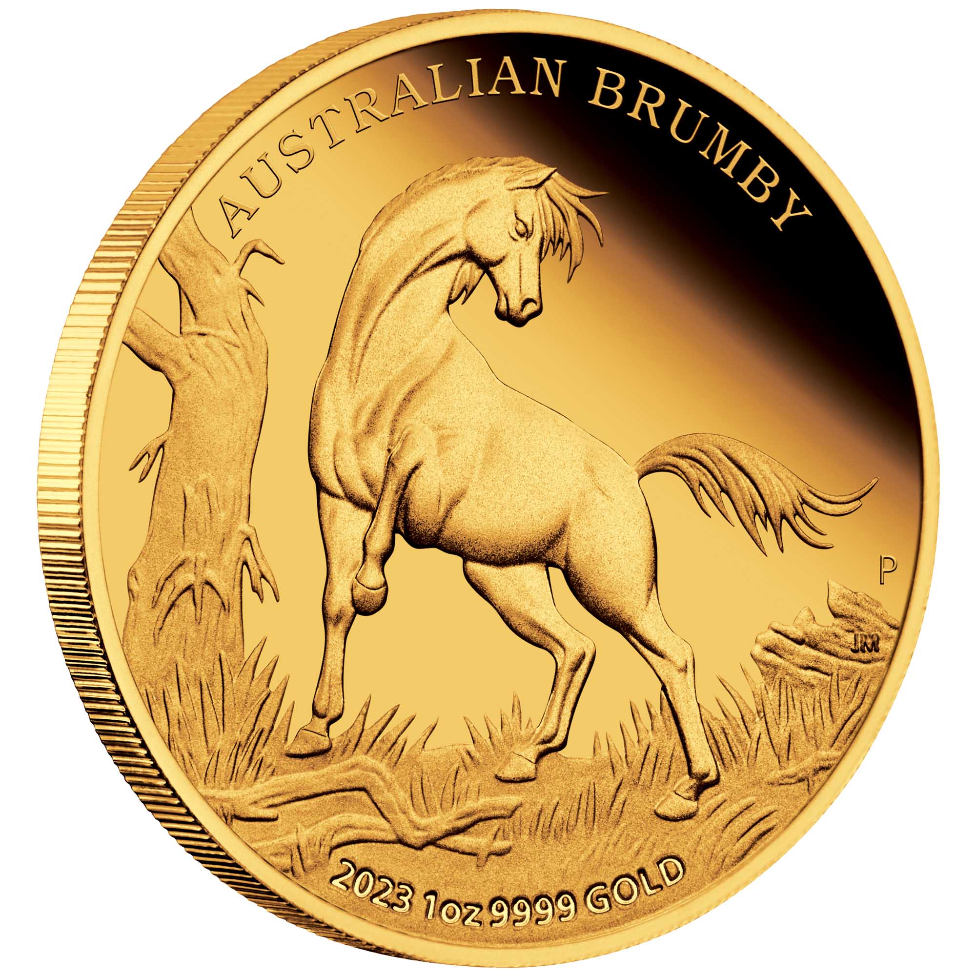 Australian Brumby 2023 1oz Gold Proof Coin