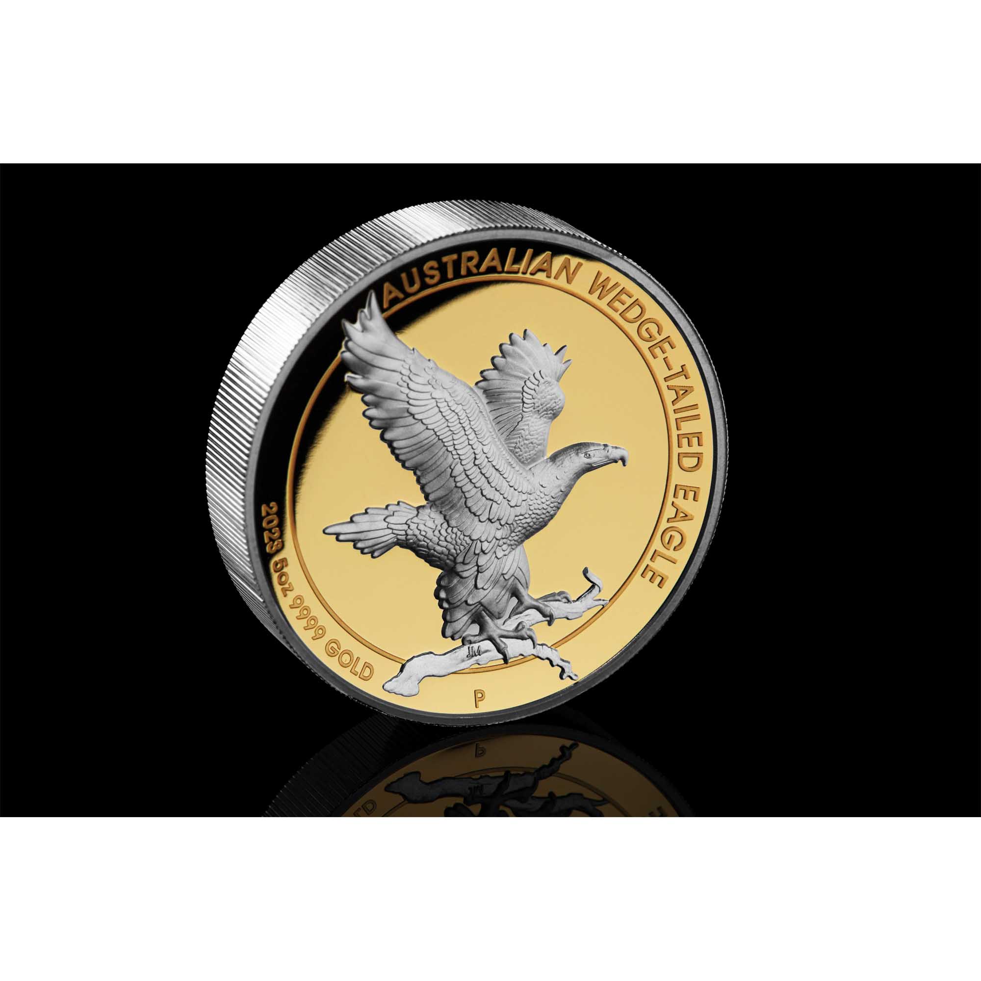 Wedge-tailed eagle 2023 5oz gold gilded coin