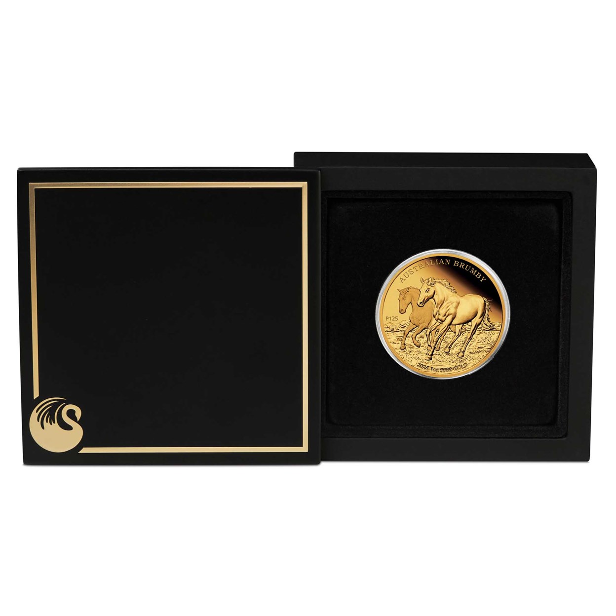 04 2024 Australian Brumby 1oz Gold Proof  Coin in case HighRes