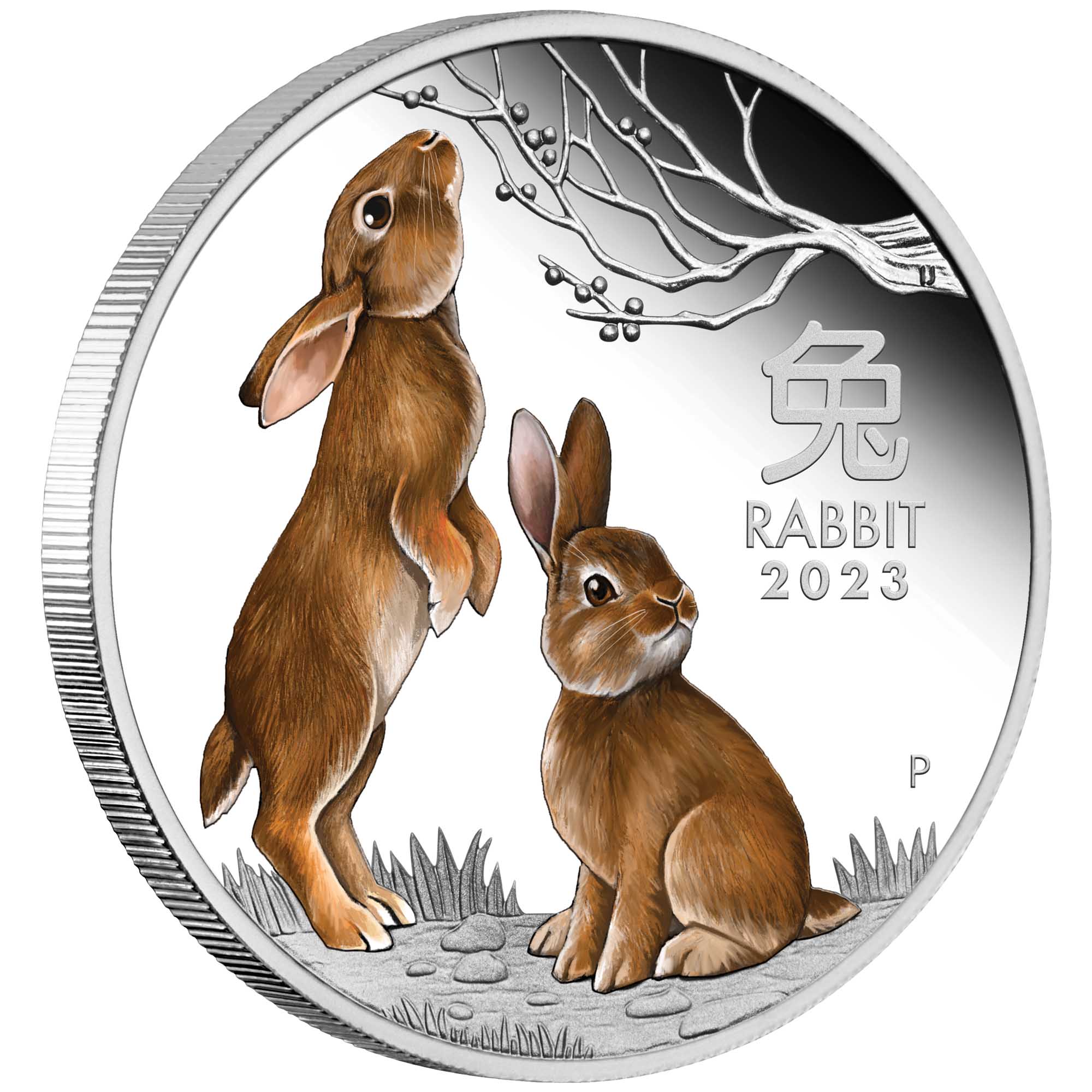 2023 Year Of The Rabbit 1oz Silver Proof Coloured Coin 9135