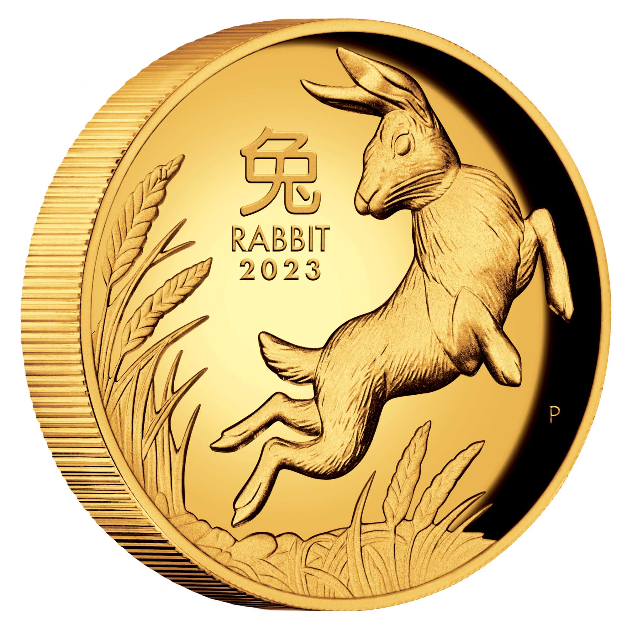 2023 Year of the Rabbit 1oz Gold Proof High Relief Coin