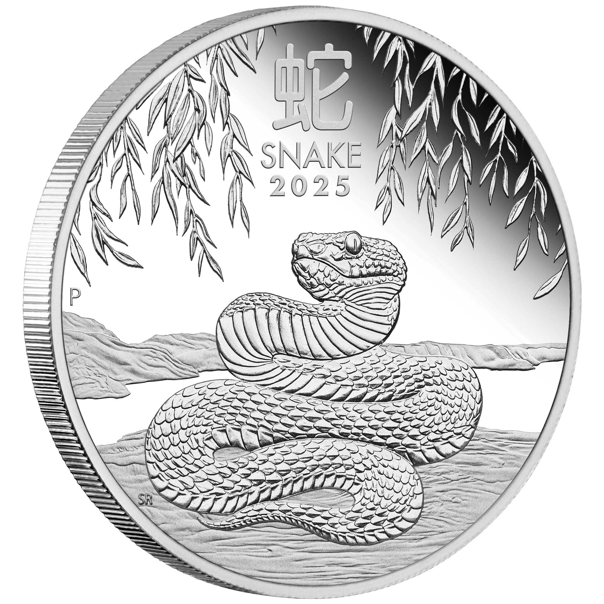 2025 Year of the Snake 1oz Silver Proof Coin